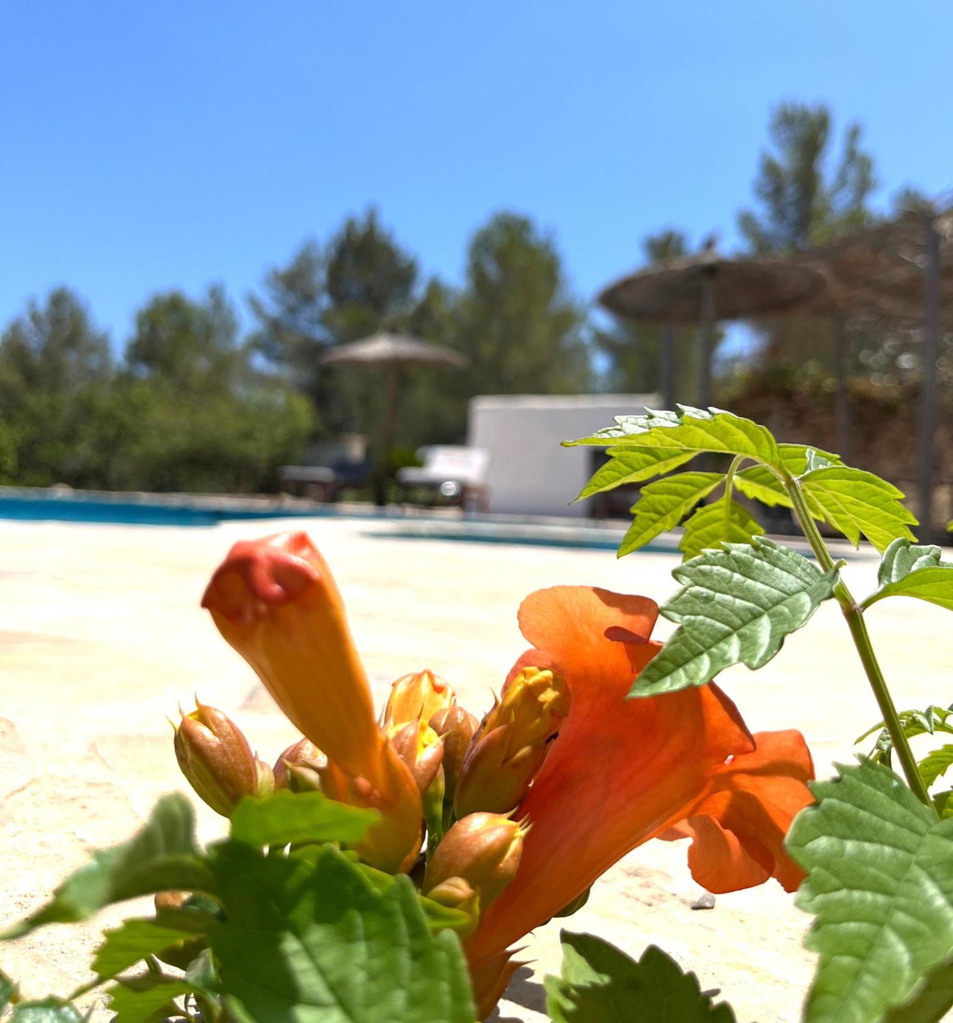 Villa Can Mestreso Suite Ibiza Sant Joan De Labritja Exterior photo